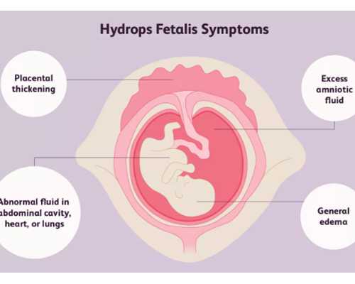 2026年佛山市试管第三代费用明细表出炉，如何降低价格呢？