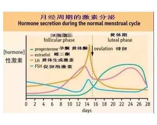 卵巢多囊是做试管造成的 多囊卵巢综合征做试管婴儿成功率高吗