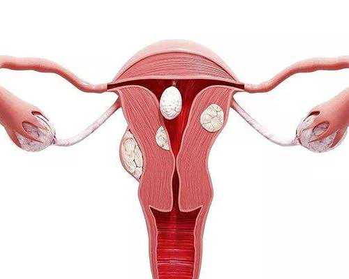 做试管取完卵卵巢胀痛正常吗？试管婴儿取完卵腹部胀怎么办？