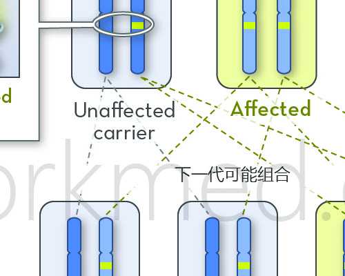 代生正规机构-泰国能做试管婴儿吗