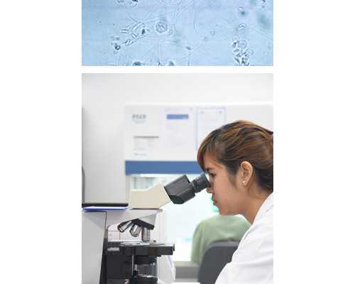 32岁女性试管多次不成功正常吗?试管次数没有限制 供卵试管包男孩