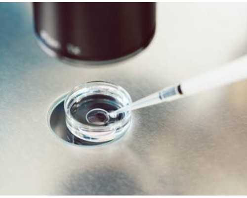 试管日记🧪｜降调过头，又双叒被留级了🤦‍♀️ 代孕基本流程完整