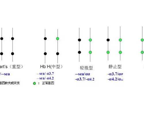 左旋肉碱治疗弱精症(牛鞭可不可以治疗弱精) 单身供卵试管代孕