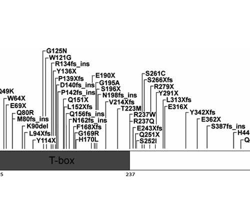 物联网平台搭建 物联网平台搭建流程 试管代孕多长时间