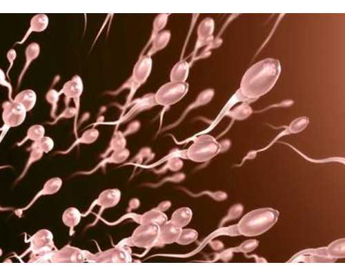 骨髓移植后的第125天 专业代孕公司