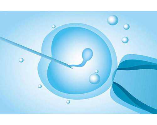 卵巢多大可以做试管双胎