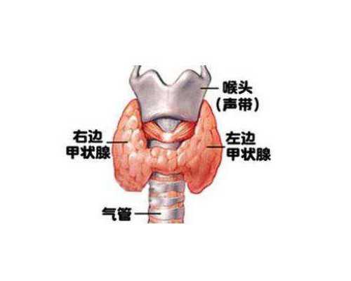 做试管婴儿需要做B超吗，要做多少次看完就知道了 供卵试管代孕qq群