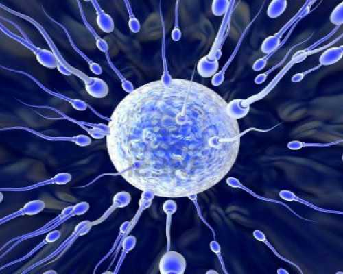 沧州三代试管婴儿费用大概要多少钱？附试管条件一览