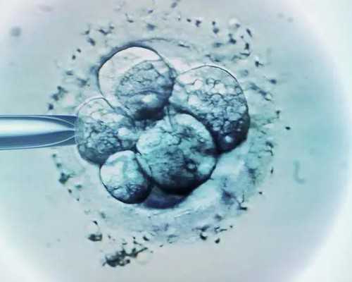 杭州三代试管婴儿费用报销政策，原来生孩子真会掏空钱袋