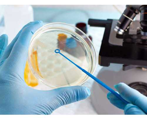 多囊卵巢做试管会打降调吗