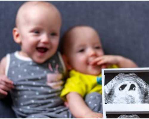 卵巢早衰的人做试管能成功吗