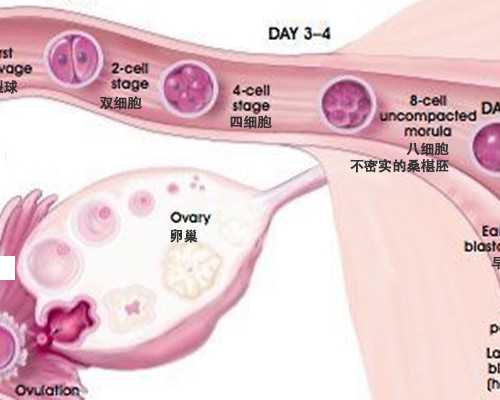 婴儿摇晃症候群症状（婴儿摇晃症候群表现） 供卵代怀生小孩多少钱