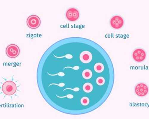 卵巢0.49能做试管：卵巢小做试管婴儿怎么办